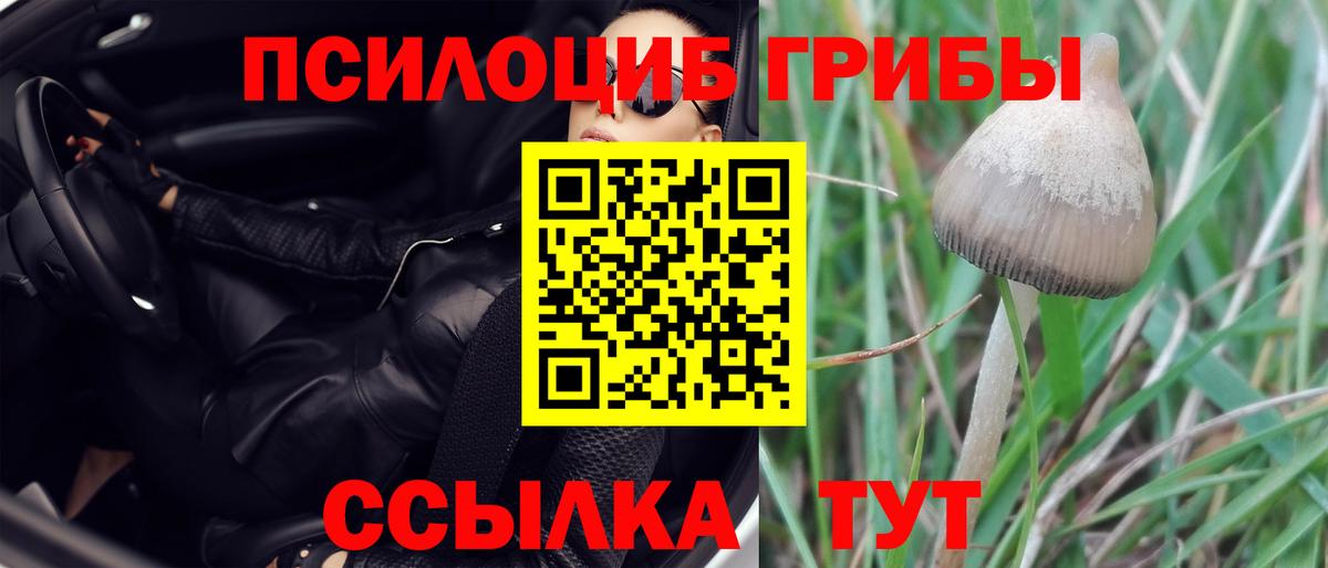 Галлюциногенные грибы GOLDEN TEACHER Бугульма